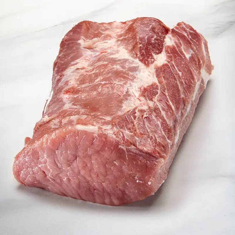 LONZA INTERA